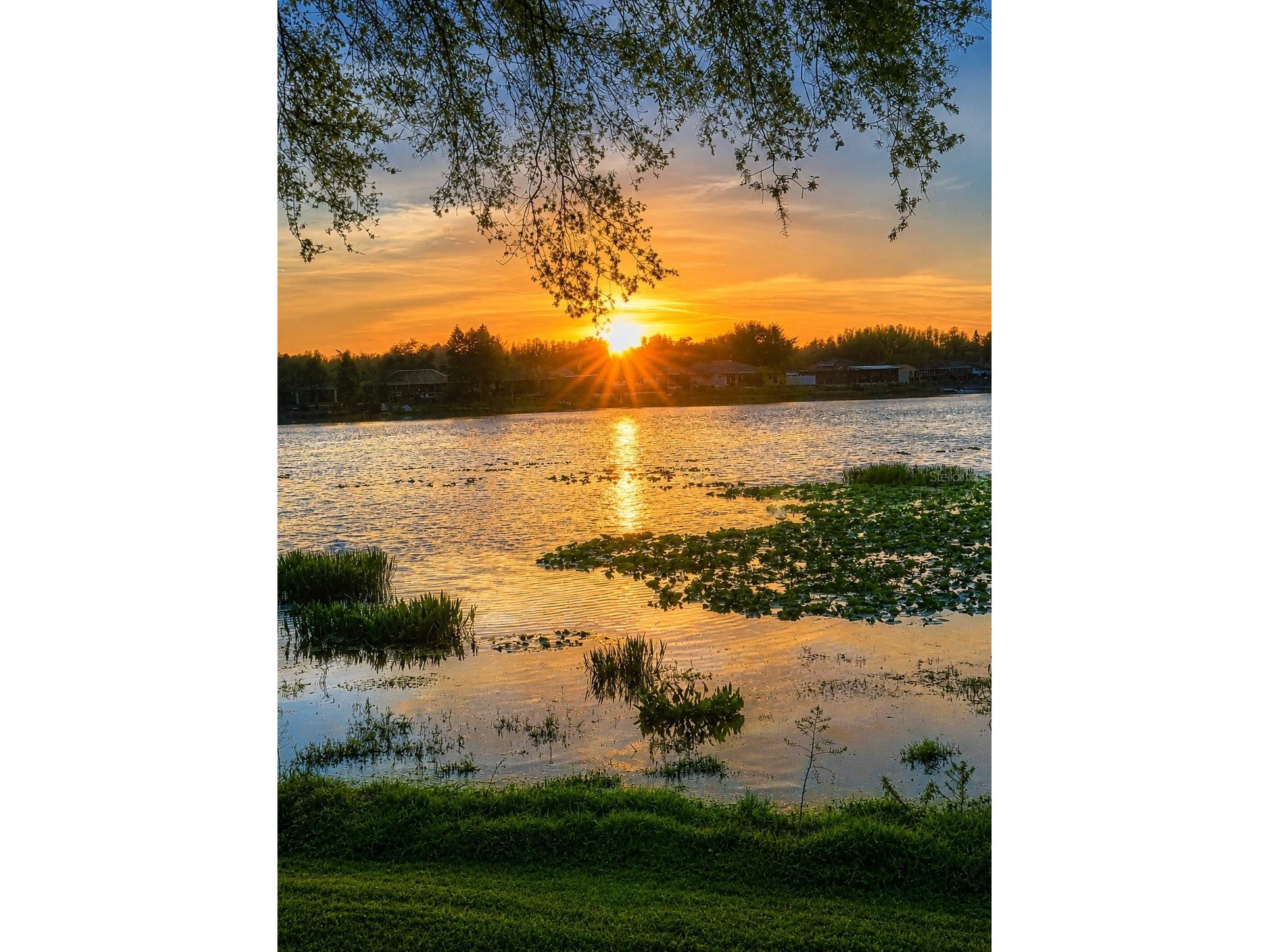 1739 Leichester Court Lutz FL 33549 TB8517981 image52
