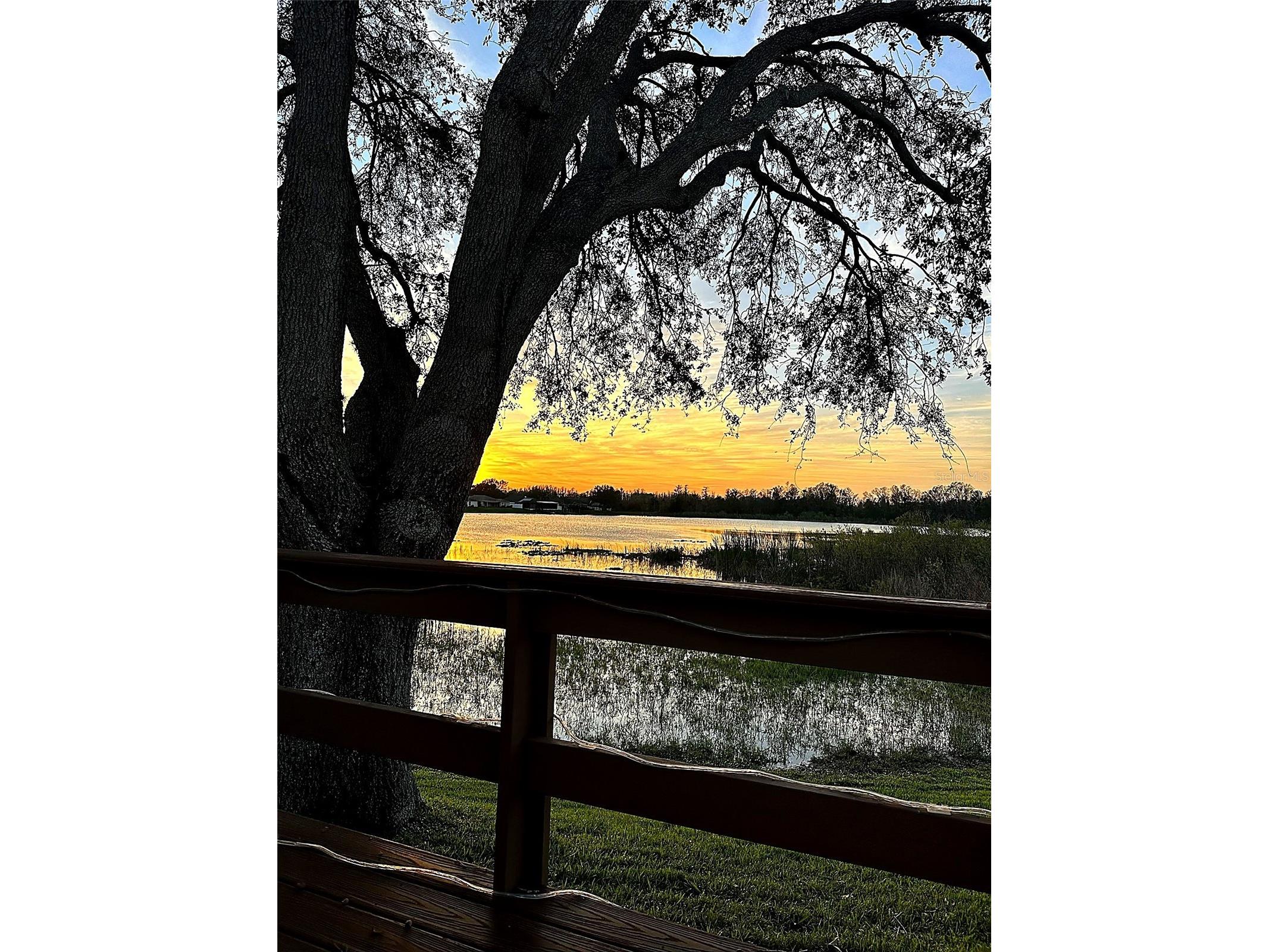 1739 Leichester Court Lutz FL 33549 TB8517981 image54