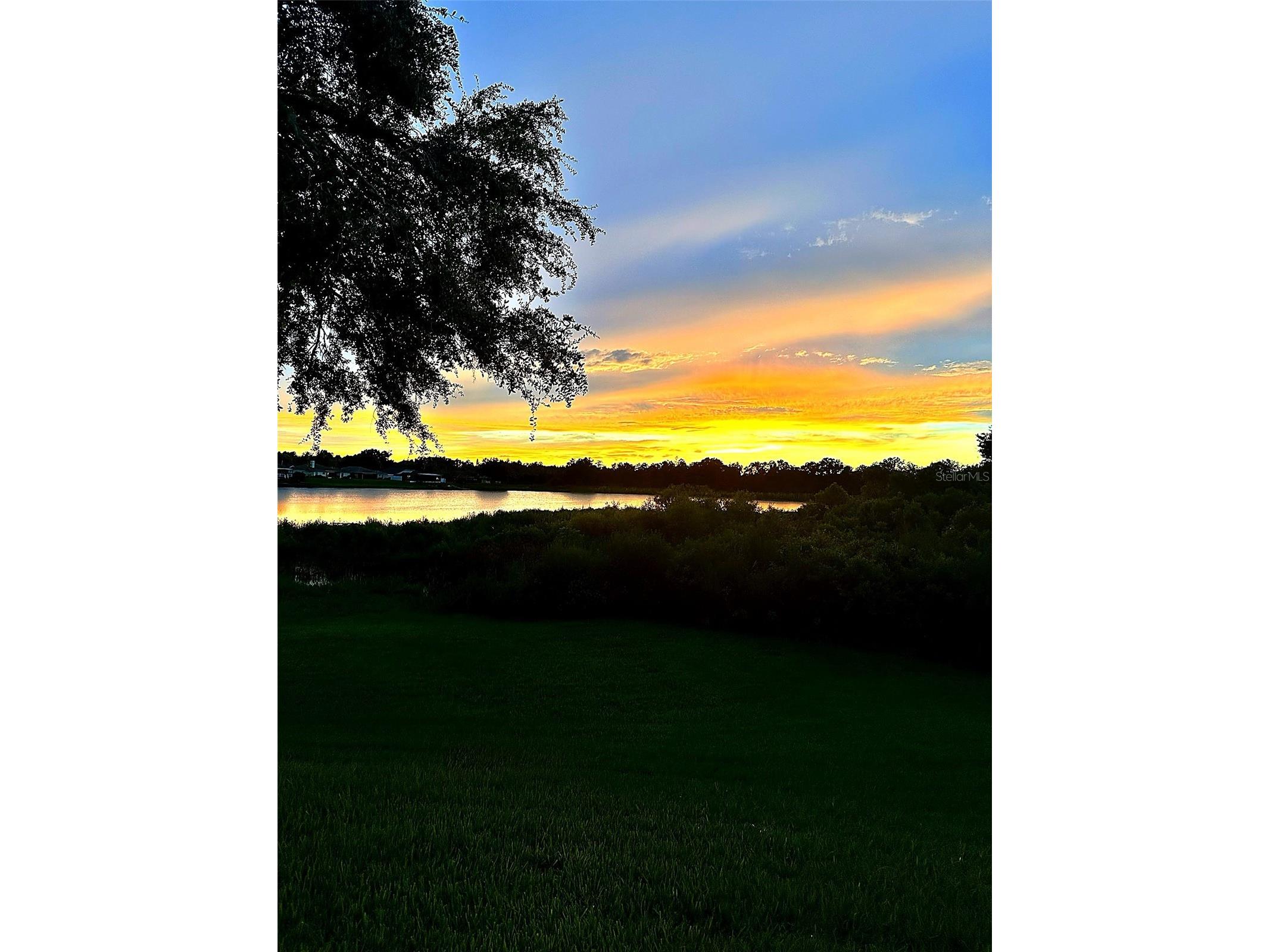 1739 Leichester Court Lutz FL 33549 TB8517981 image56
