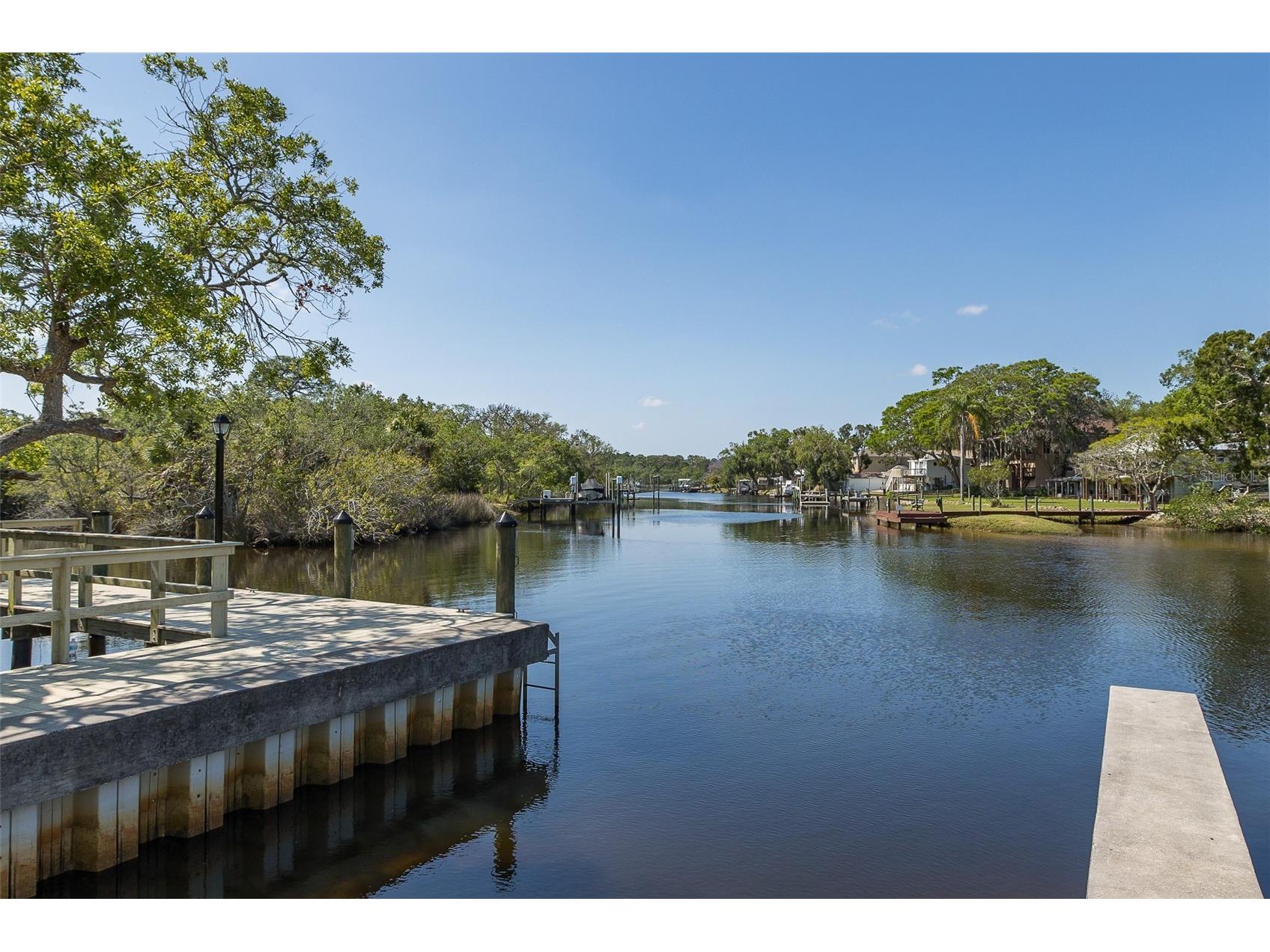 1739 Mountain Ash Way New Port Richey FL 34655 W7885713 image2