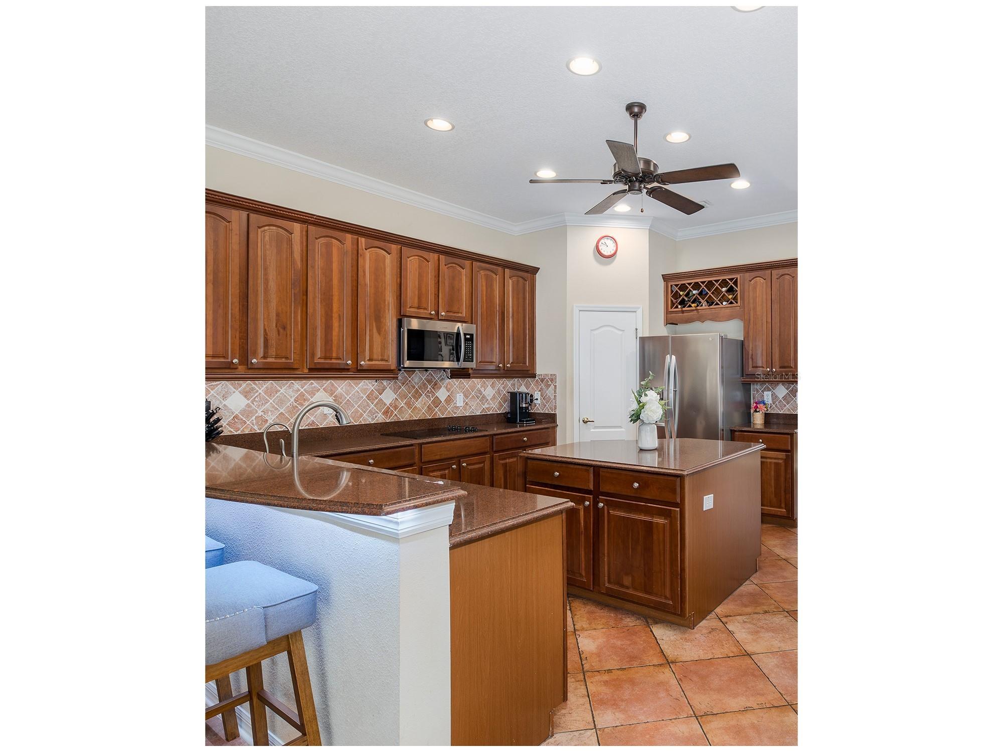1739 Mountain Ash Way New Port Richey FL 34655 W7885713 image29