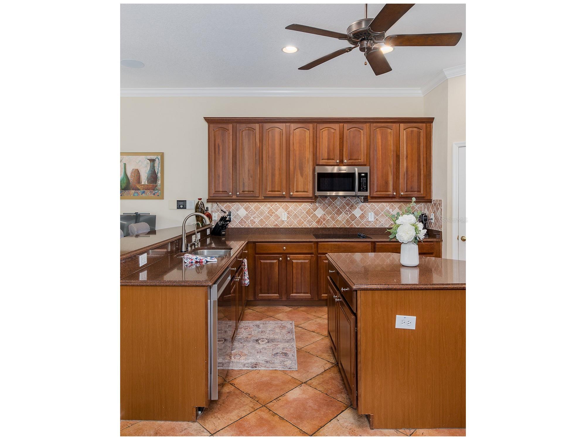 1739 Mountain Ash Way New Port Richey FL 34655 W7885713 image30