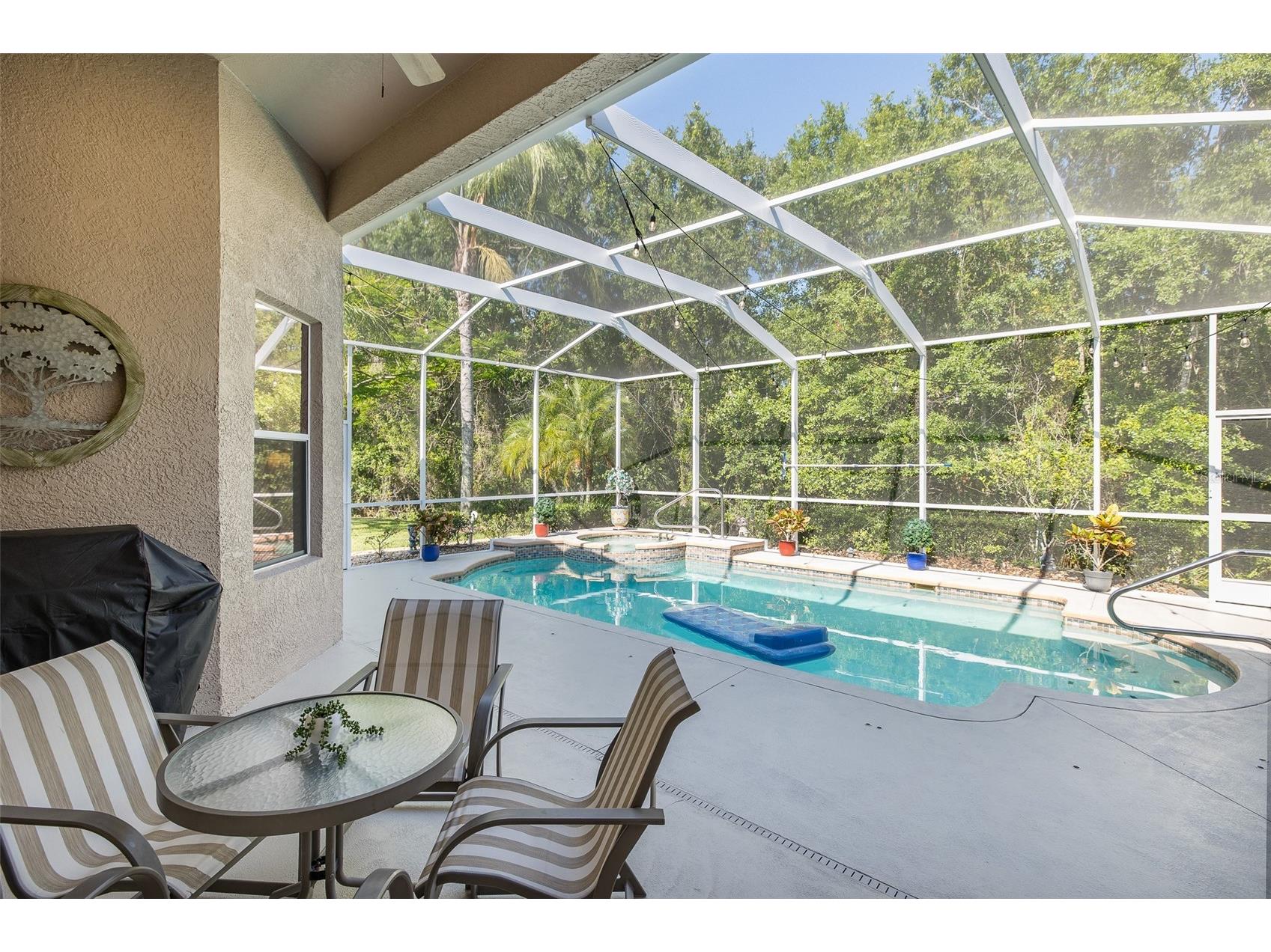 1739 Mountain Ash Way New Port Richey FL 34655 W7885713 image49