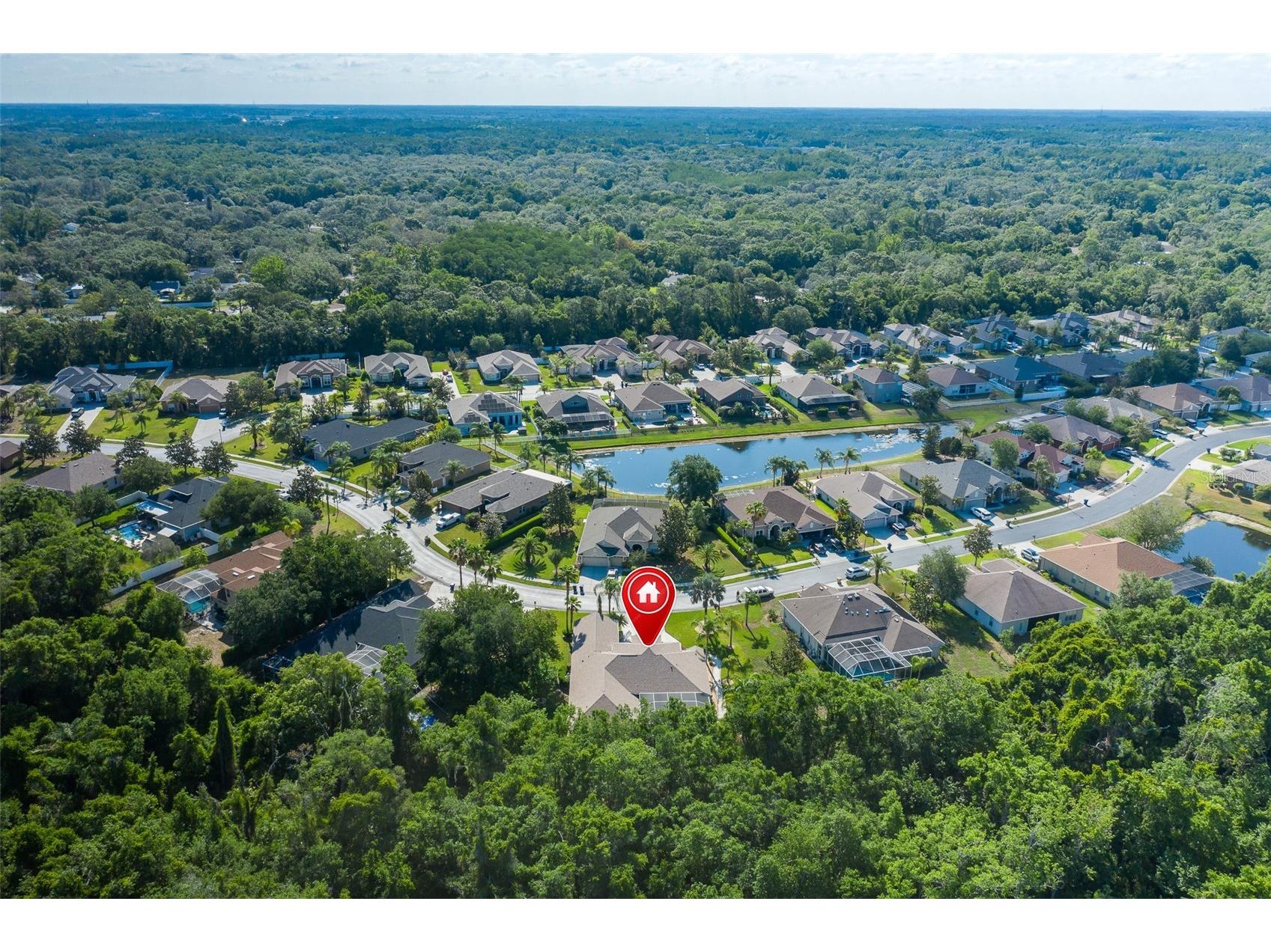 1739 Mountain Ash Way New Port Richey FL 34655 W7885713 image59