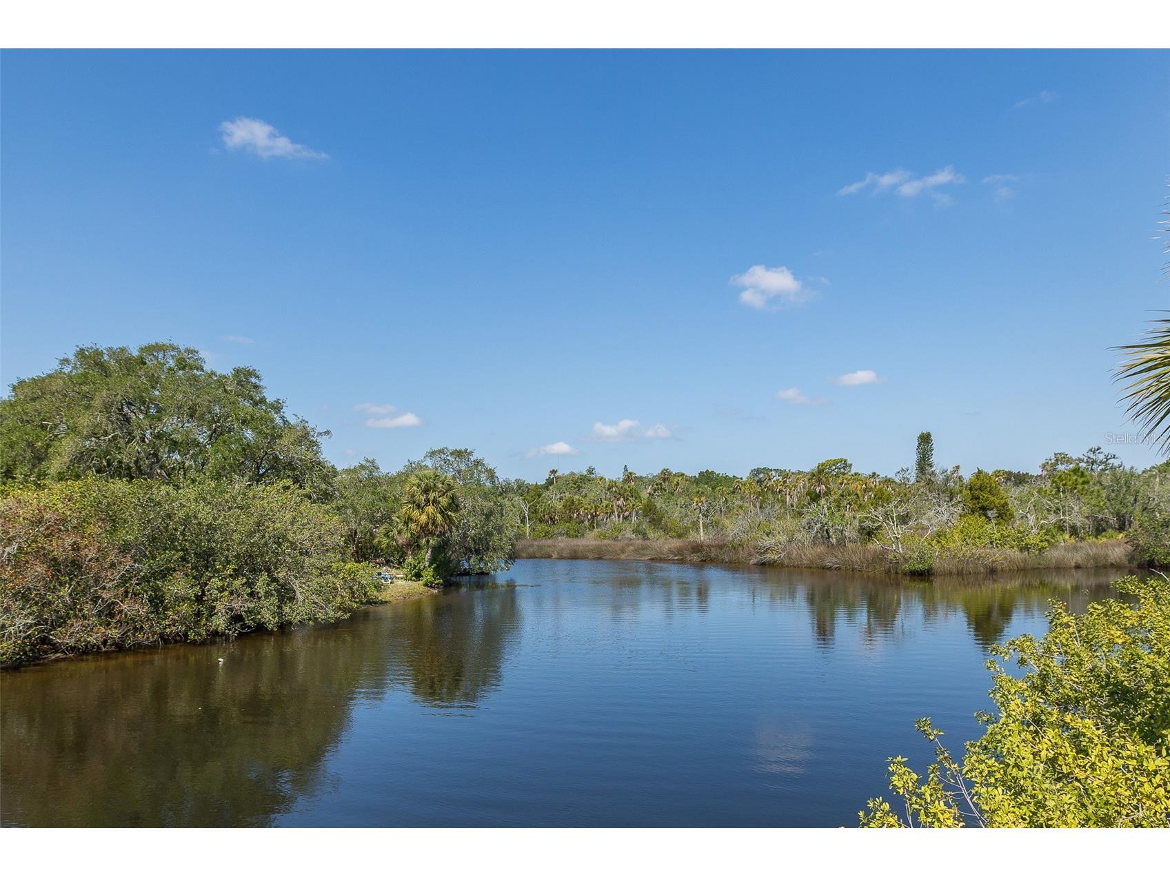 1739 Mountain Ash Way New Port Richey FL 34655 W7885713 image70