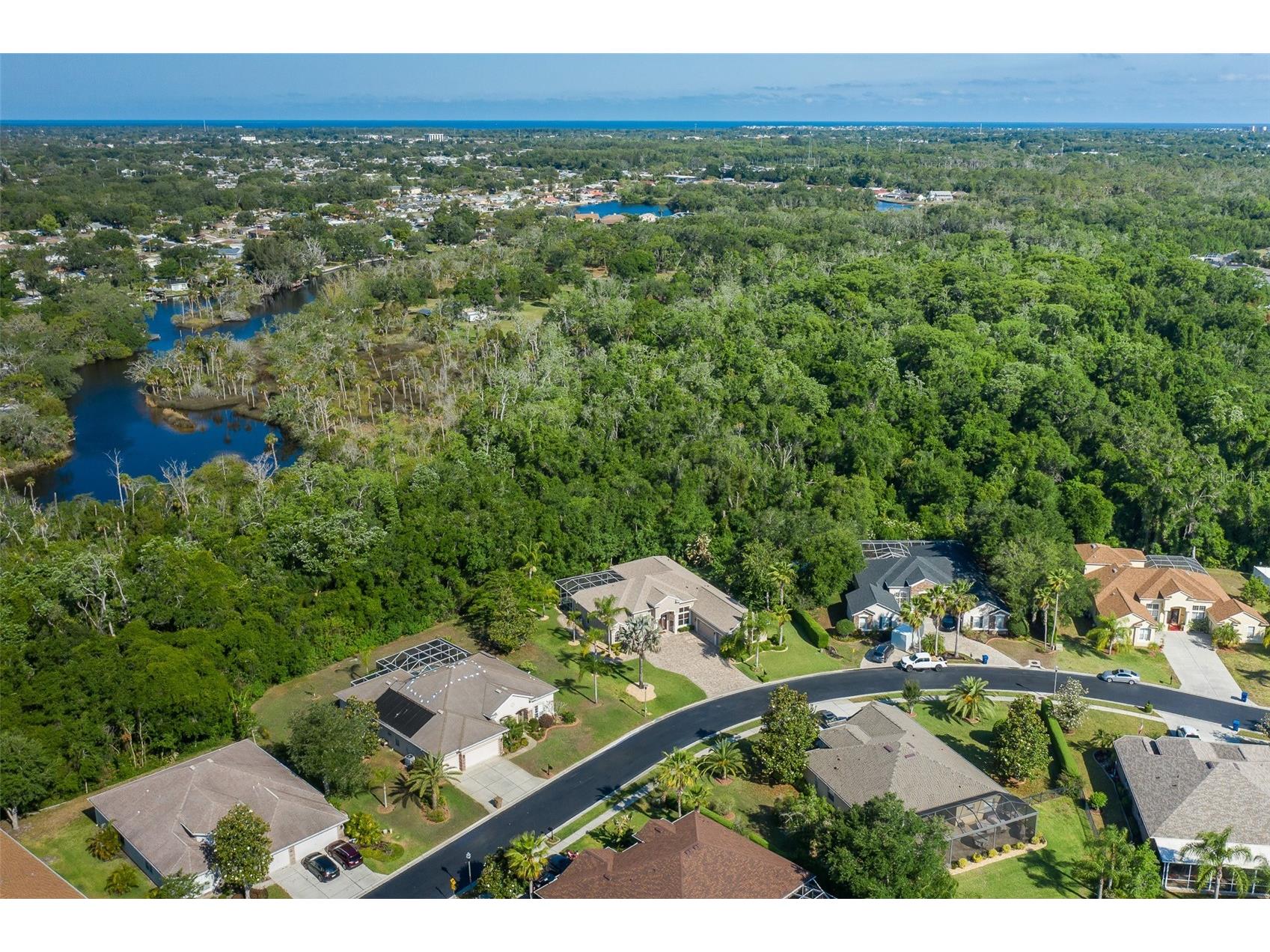 1739 Mountain Ash Way New Port Richey FL 34655 W7885713 image86