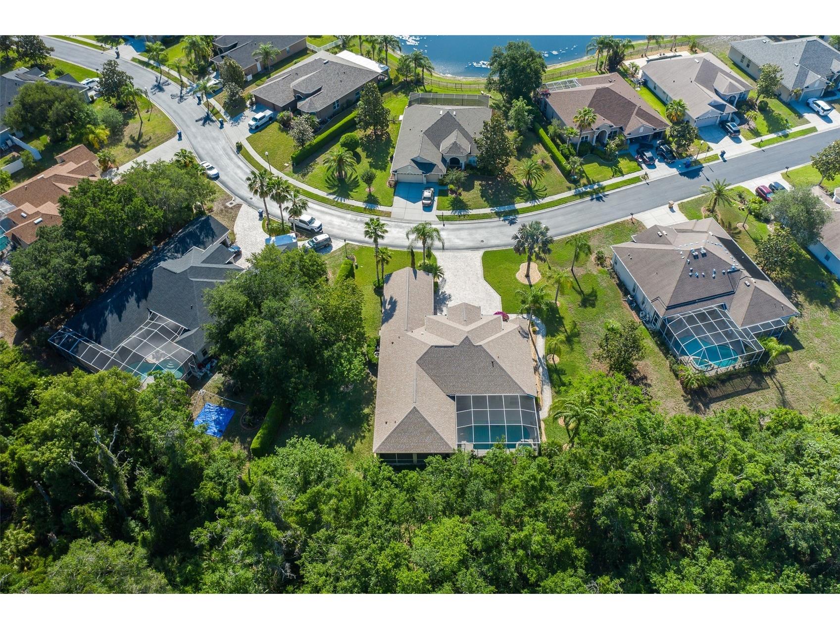 1739 Mountain Ash Way New Port Richey FL 34655 W7885713 image87