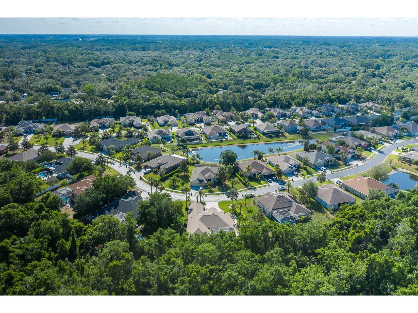 1739 Mountain Ash Way New Port Richey FL 34655 W7885713 image88