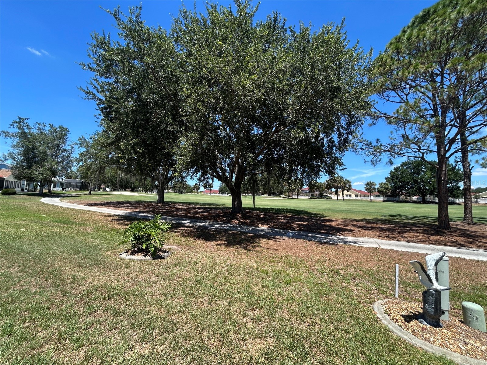 1739 Palo Alto Avenue The Villages FL 32159 TB8514399 image3