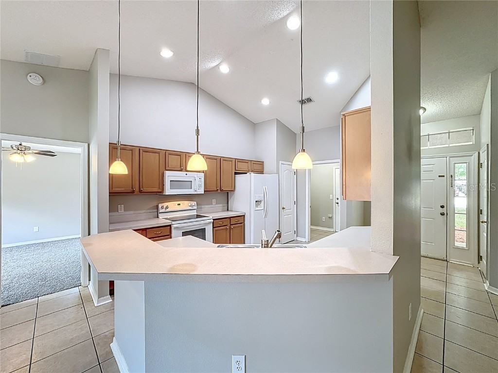 1739 Presidio Drive Clermont FL 34711 C7517861 image9