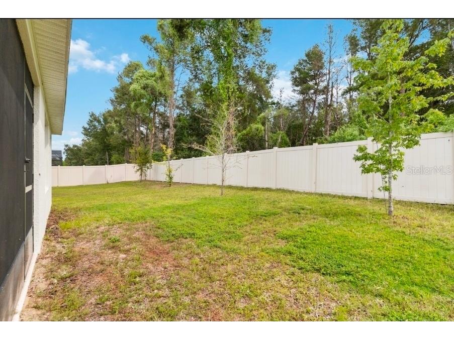 17391 Million Lakes Court Clermont FL 34714 O6354135 image32