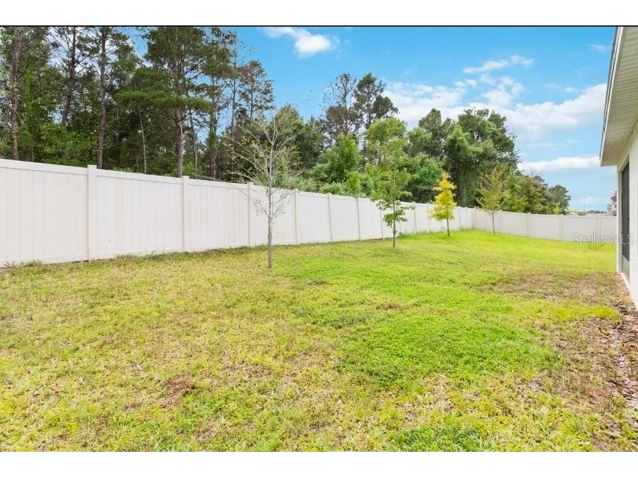 17391 Million Lakes Court Clermont FL 34714 O6354135 image33