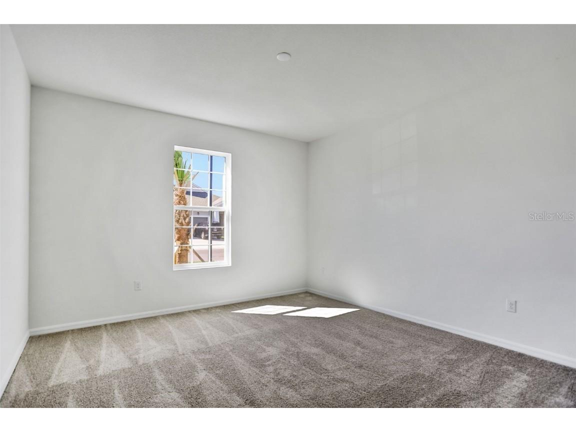 17397 Crisp Apple Lane Land O Lakes FL 34638 G5101120 image38