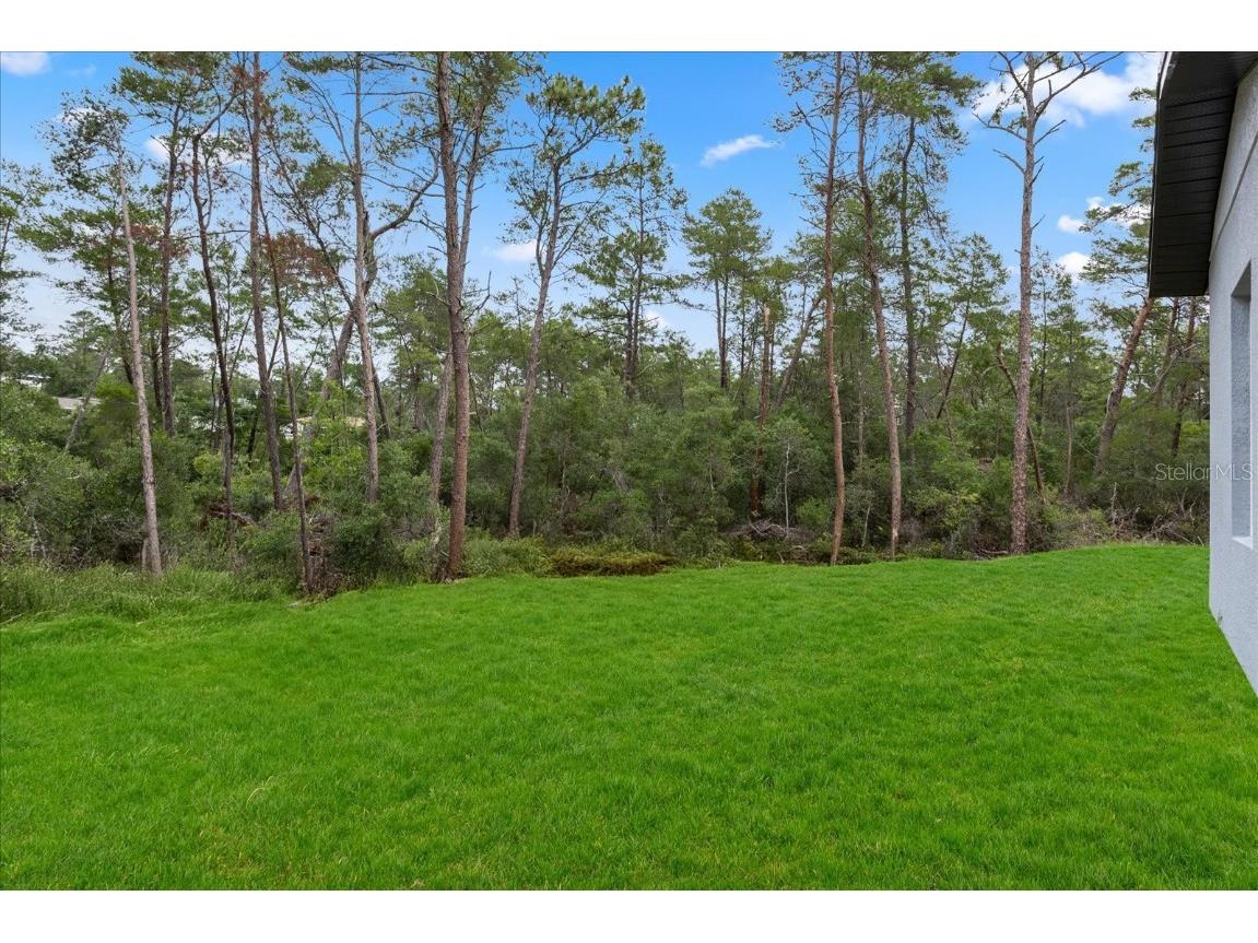 17397 Sw 41st Cir Ocala FL 34473 O6315814 image41