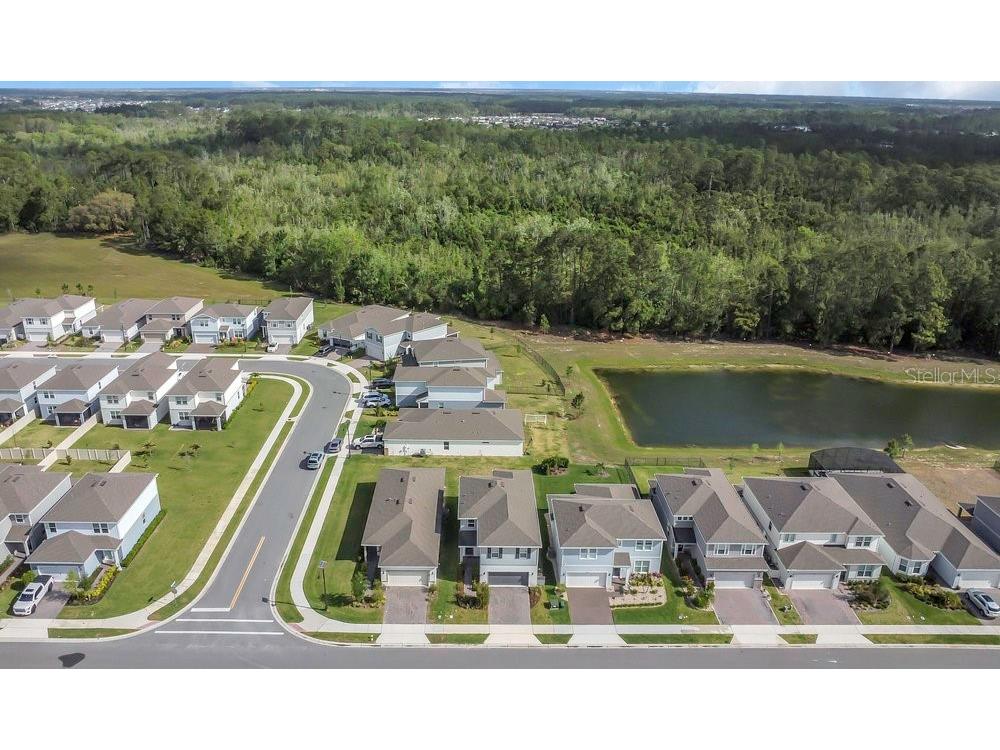 17398 Saw Palmetto Ave Clermont FL 34714 O6288465 image4