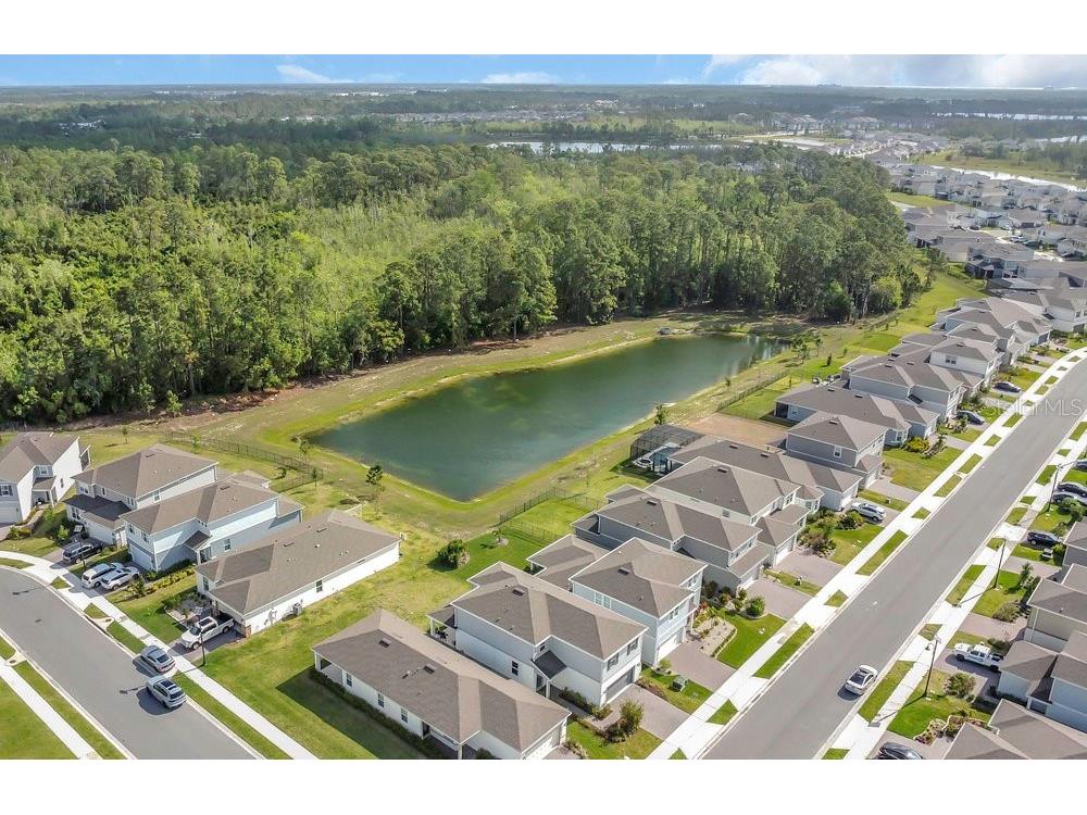 17398 Saw Palmetto Ave Clermont FL 34714 O6288465 image6