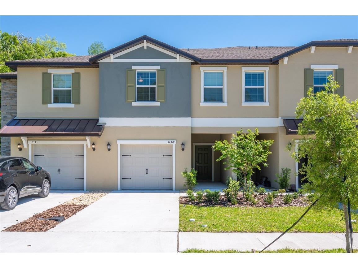 17399 Nectar Flume Drive Land O Lakes FL 34638 TB8411539 image1