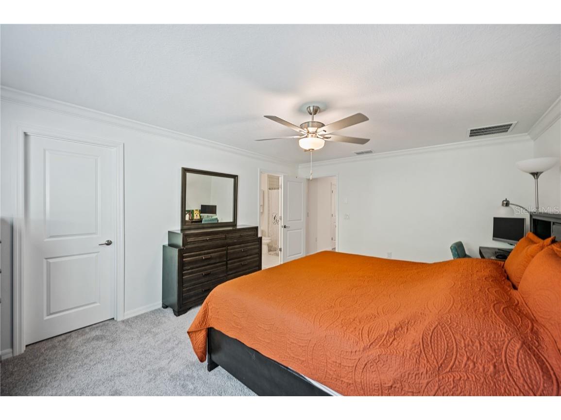 17399 Nectar Flume Drive Land O Lakes FL 34638 TB8411539 image17