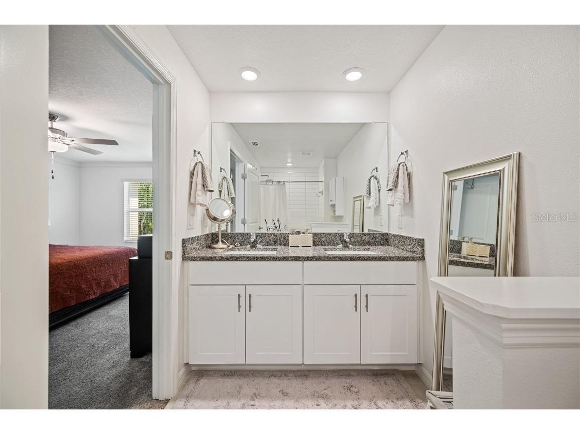 17399 Nectar Flume Drive Land O Lakes FL 34638 TB8411539 image18