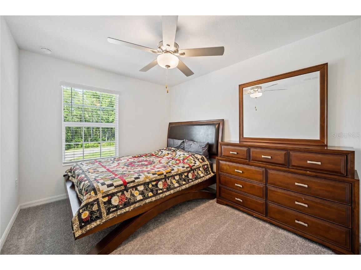 17399 Nectar Flume Drive Land O Lakes FL 34638 TB8411539 image23