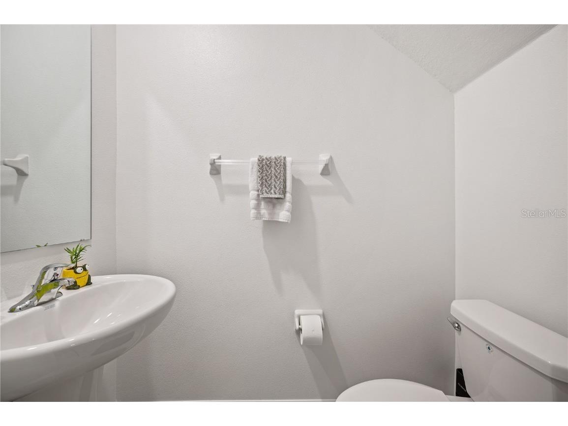 17399 Nectar Flume Drive Land O Lakes FL 34638 TB8411539 image26