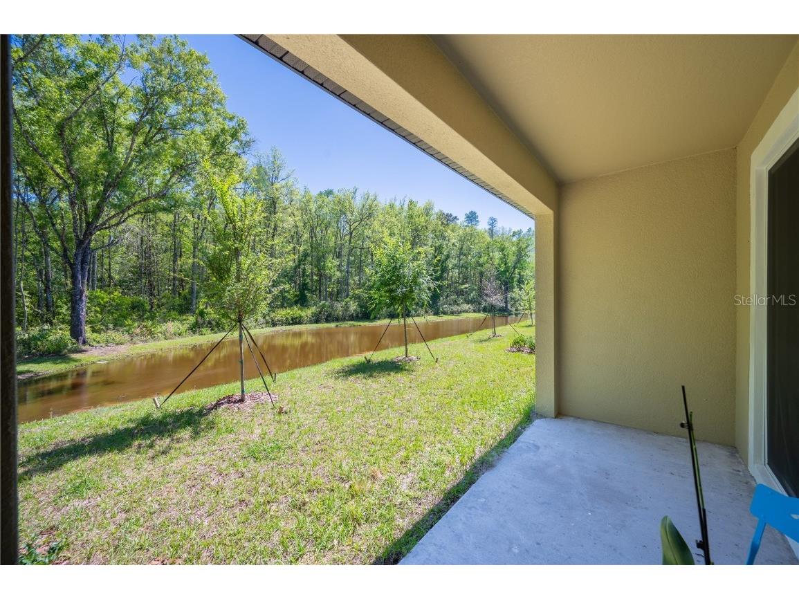 17399 Nectar Flume Drive Land O Lakes FL 34638 TB8411539 image30