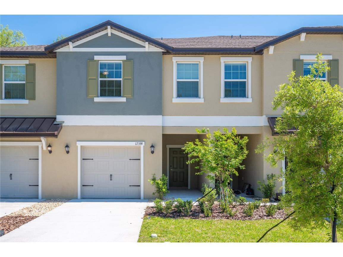 17399 Nectar Flume Drive Land O Lakes FL 34638 TB8462380 image1