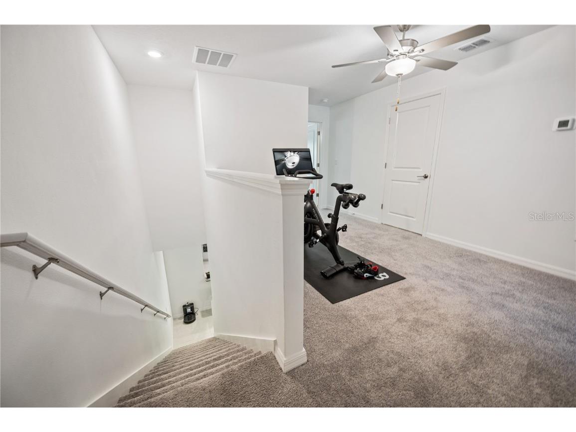 17399 Nectar Flume Drive Land O Lakes FL 34638 TB8462380 image13