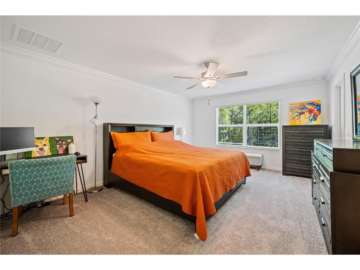 17399 Nectar Flume Drive Land O Lakes FL 34638 TB8462380 image16