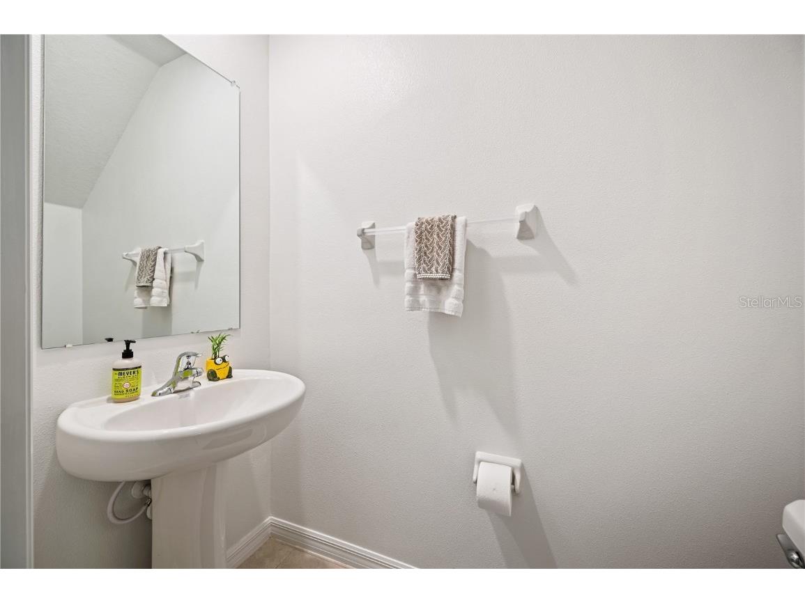 17399 Nectar Flume Drive Land O Lakes FL 34638 TB8462380 image28