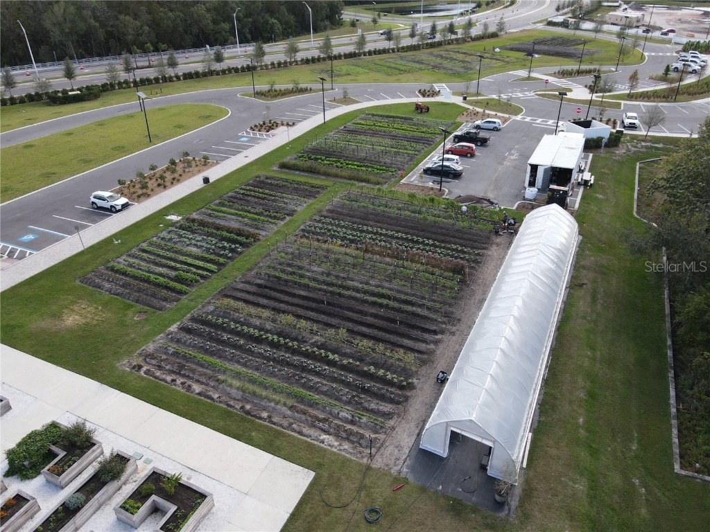 17399 Nectar Flume Drive Land O Lakes FL 34638 TB8462380 image38