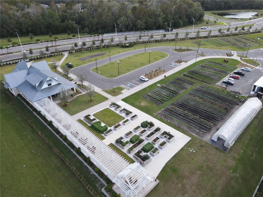 17399 Nectar Flume Drive Land O Lakes FL 34638 TB8462380 image39