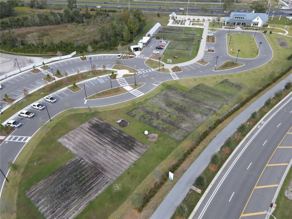 17399 Nectar Flume Drive Land O Lakes FL 34638 TB8462380 image40