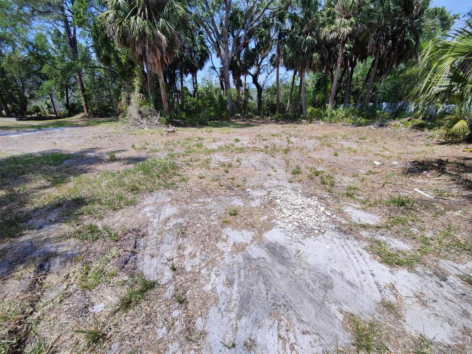 174 Avery Avenue #20&2 Crystal Beach FL 34681 W7870029 image11