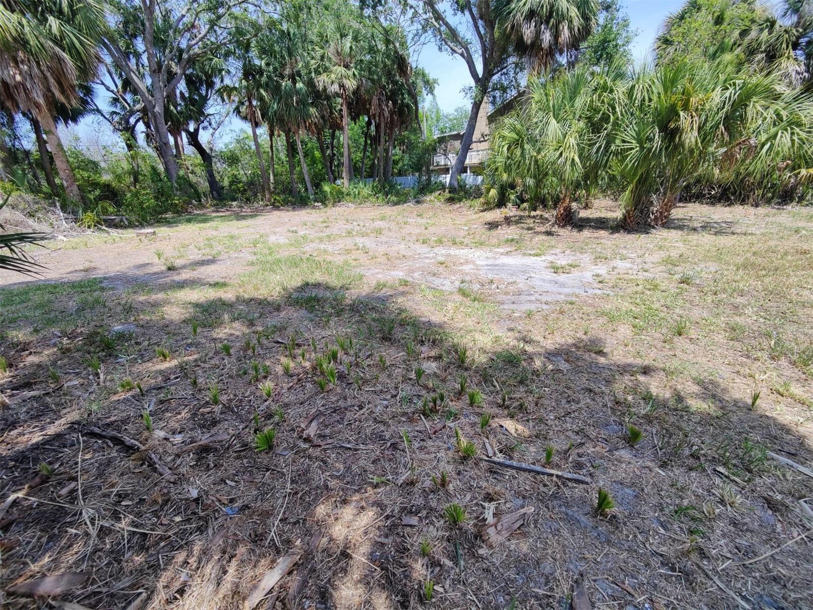 174 Avery Avenue #20&2 Crystal Beach FL 34681 W7870029 image12