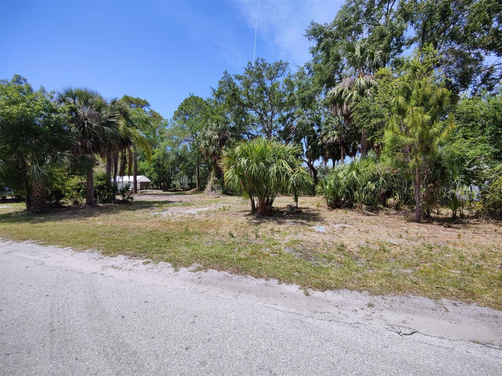 174 Avery Avenue #20&2 Crystal Beach FL 34681 W7870029 image13