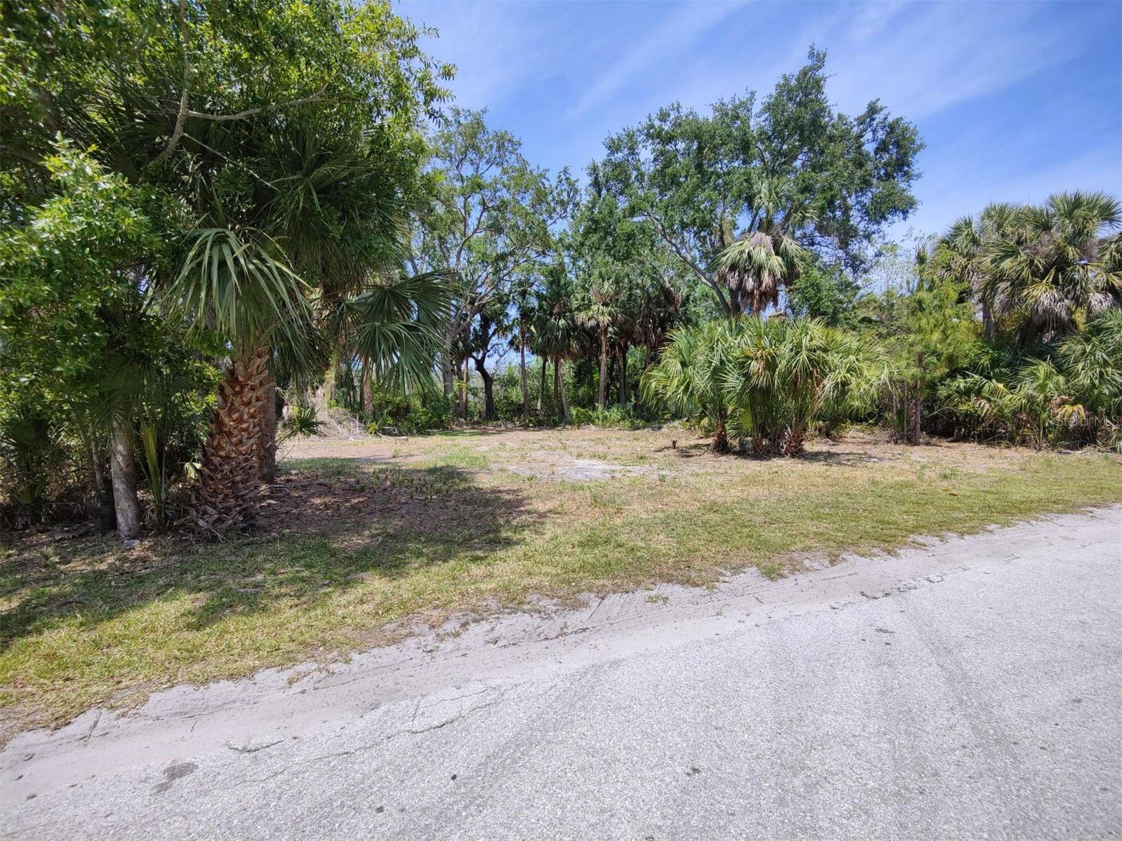 174 Avery Avenue #20&2 Crystal Beach FL 34681 W7870029 image14