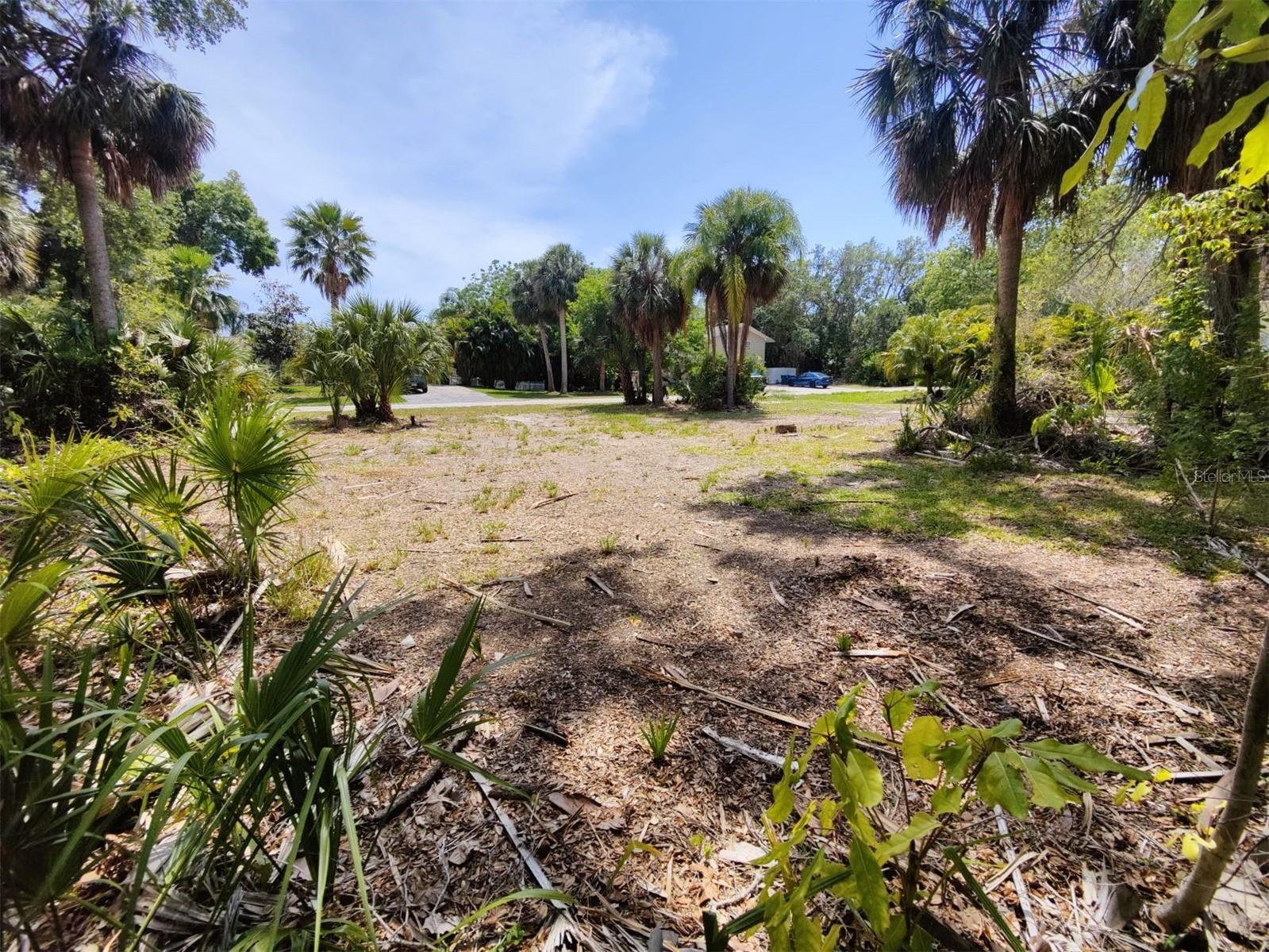 174 Avery Avenue #20&2 Crystal Beach FL 34681 W7870029 image6