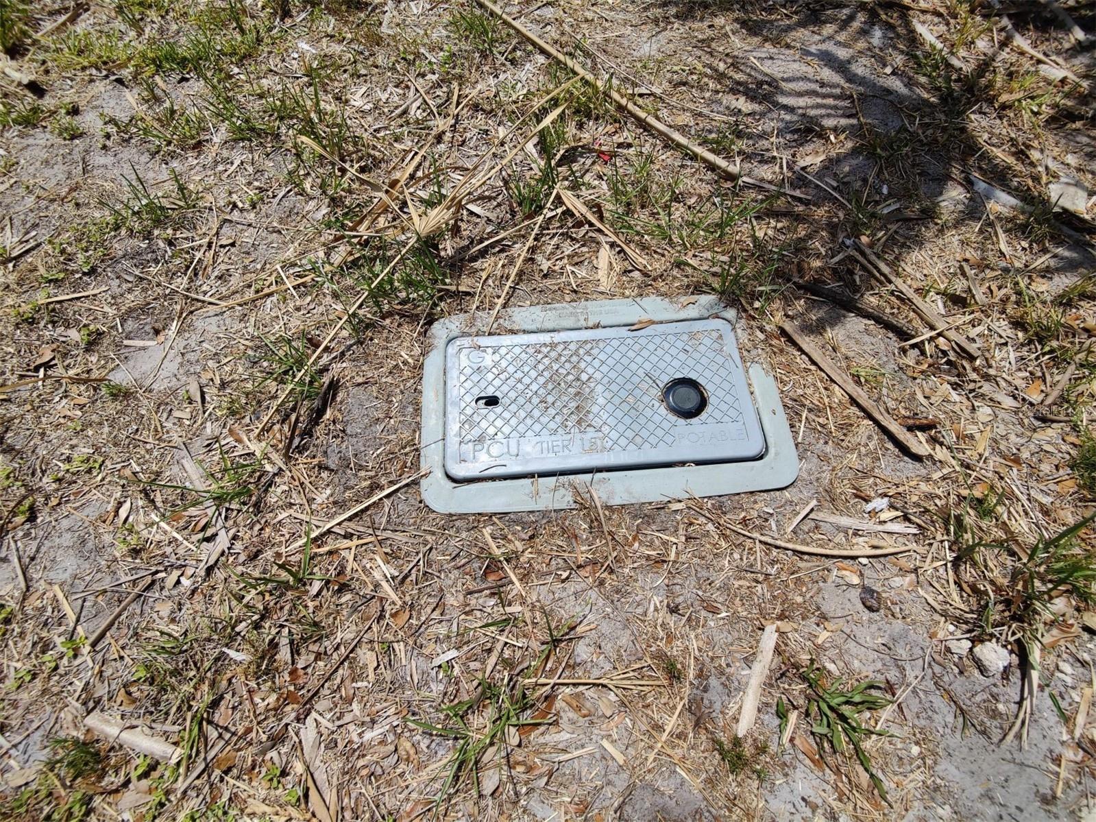 174 Avery Avenue #20&2 Crystal Beach FL 34681 W7870029 image7