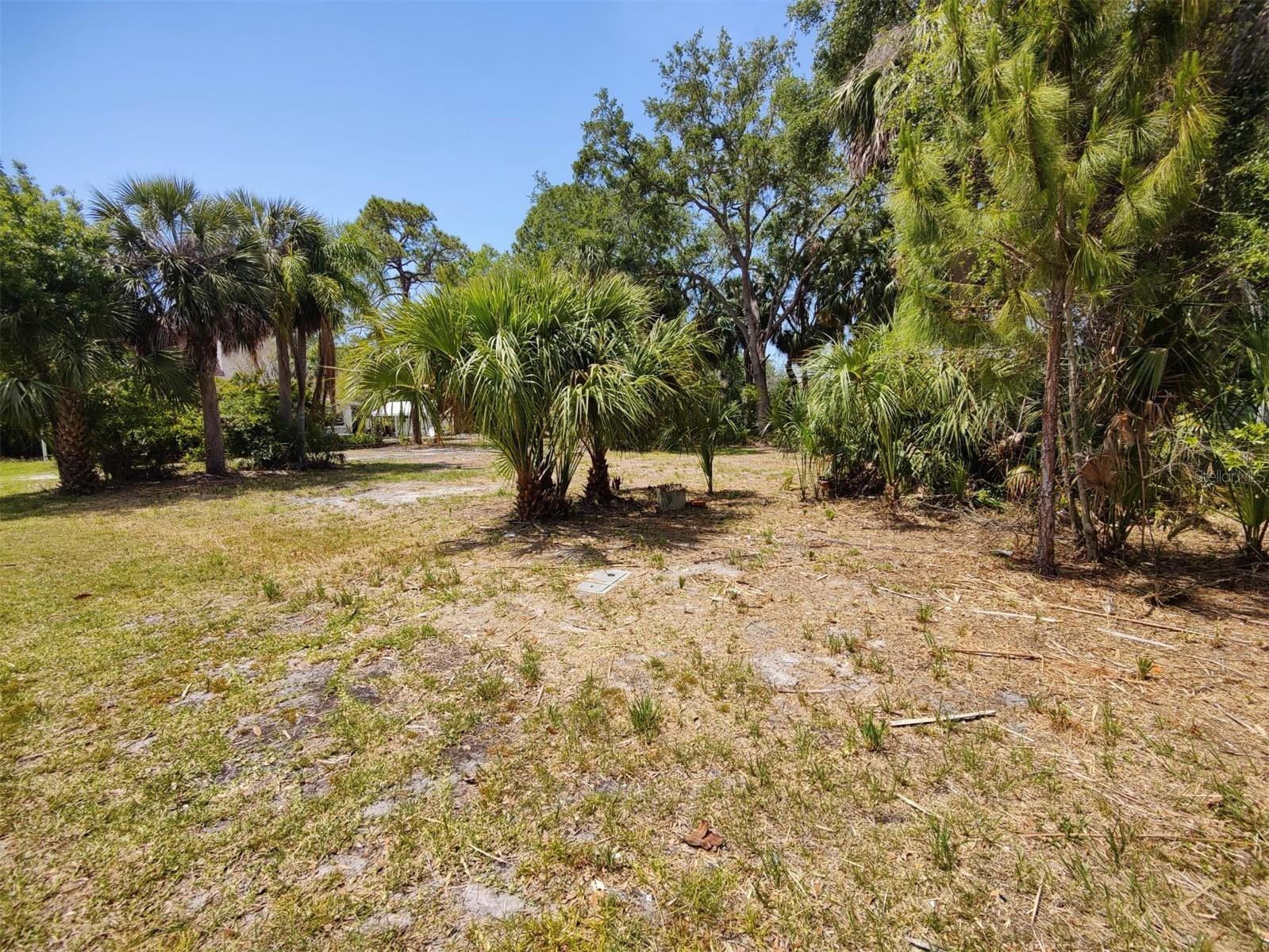 174 Avery Avenue #20&2 Crystal Beach FL 34681 W7870029 image8