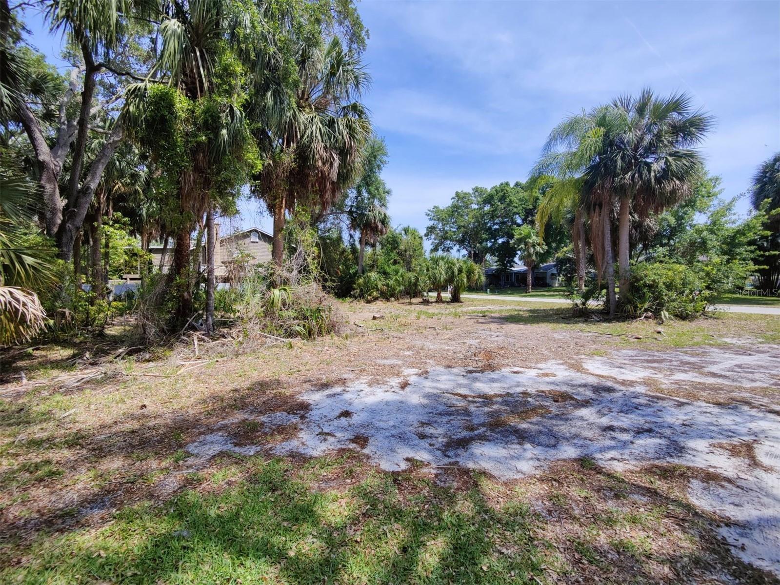 174 Avery Avenue #20&2 Crystal Beach FL 34681 W7870029 image9