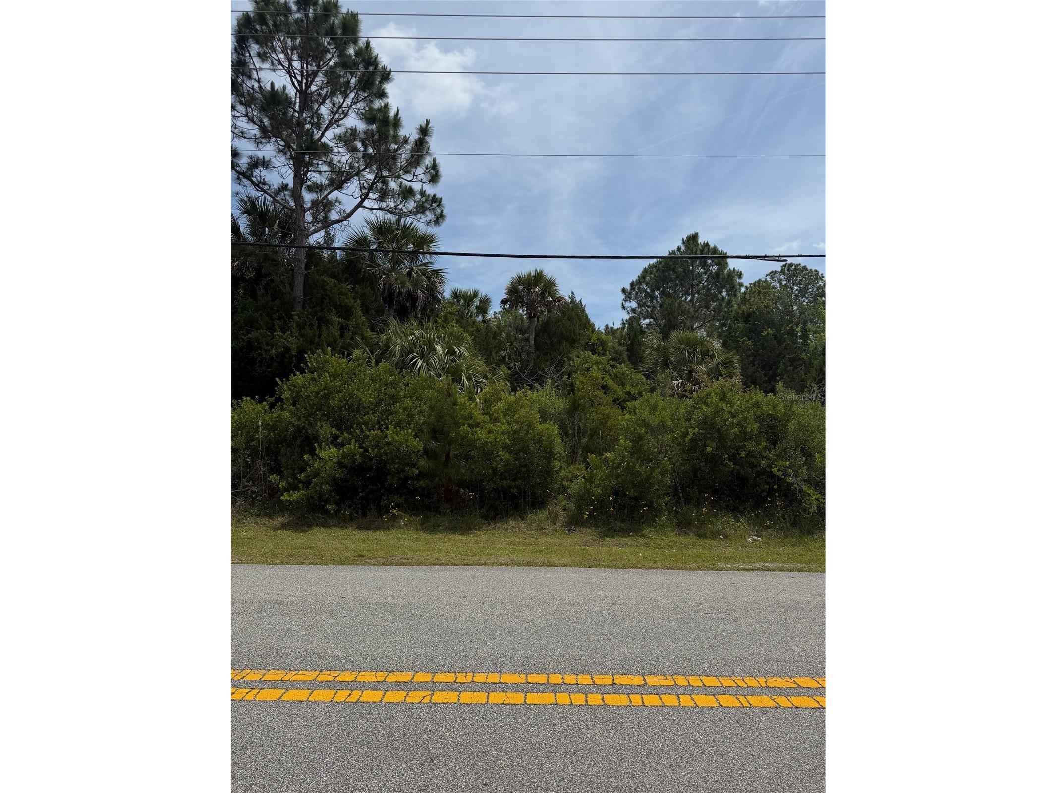 174 Bird Of Paradise Drive Palm Coast FL 32137 FC318364 image4