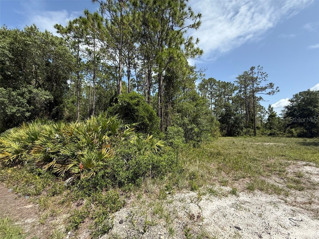 174 Millican Road Palatka FL 32177 OK225192 image1