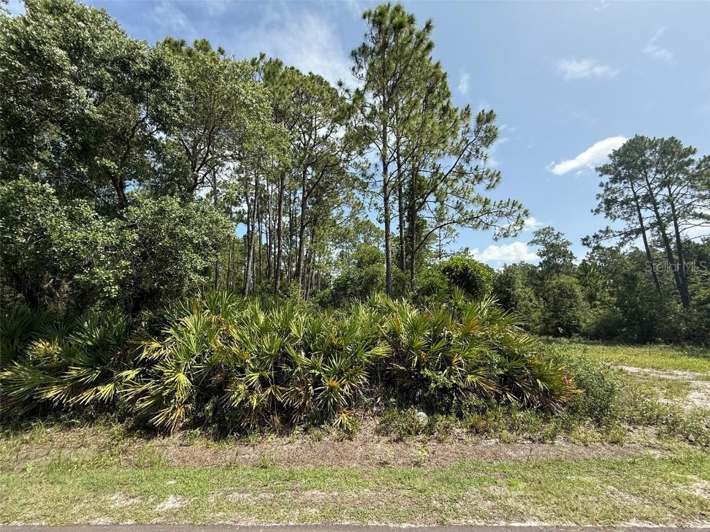 174 Millican Road Palatka FL 32177 OK225192 image5
