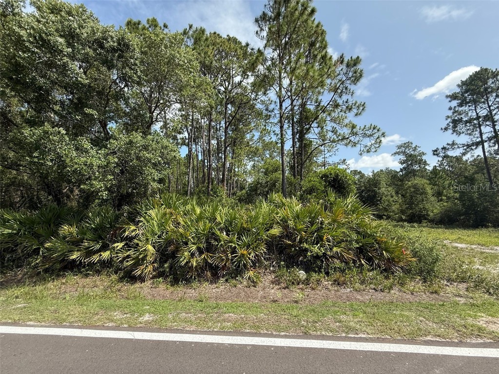 174 Millican Road Palatka FL 32177 OK225192 image6
