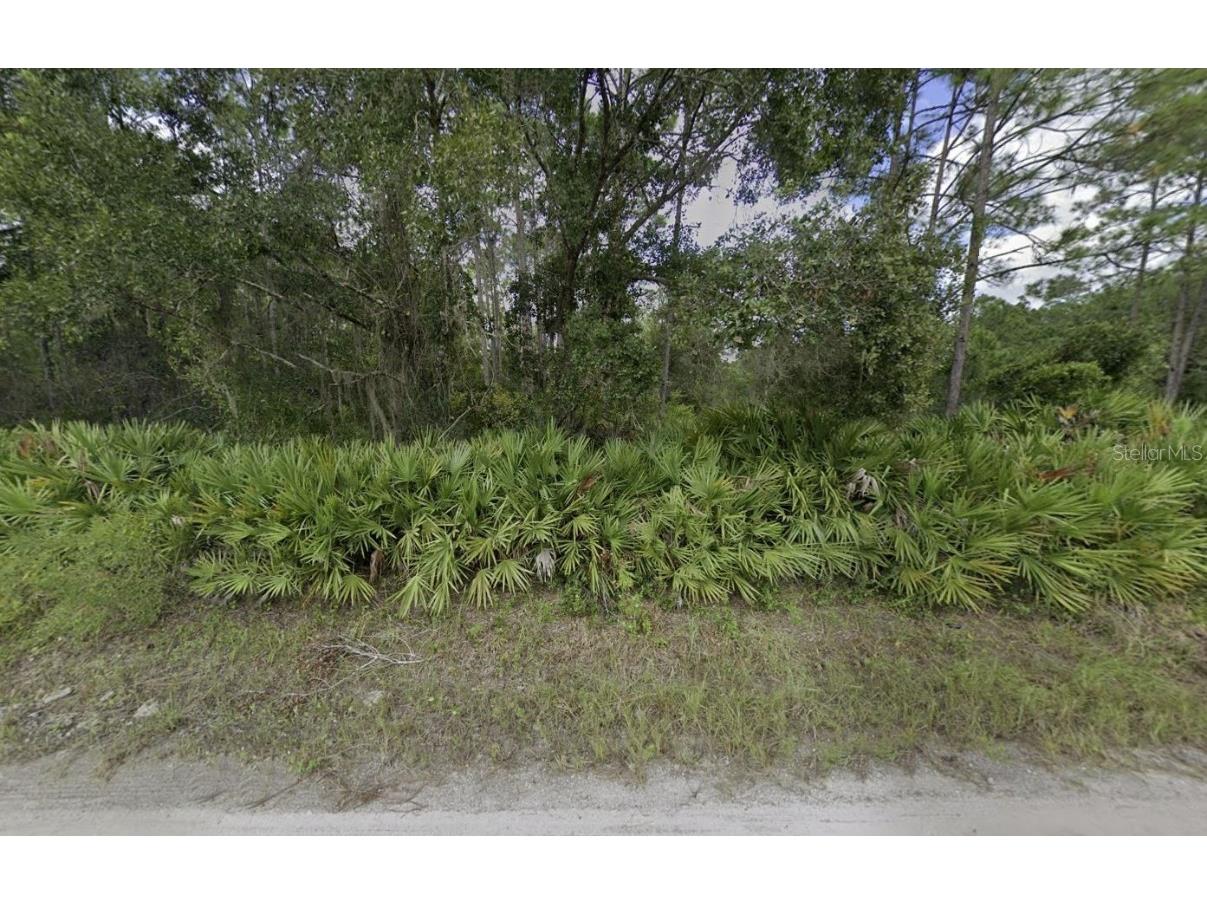 174 Millican Road Palatka FL 32177 OK225192 image7