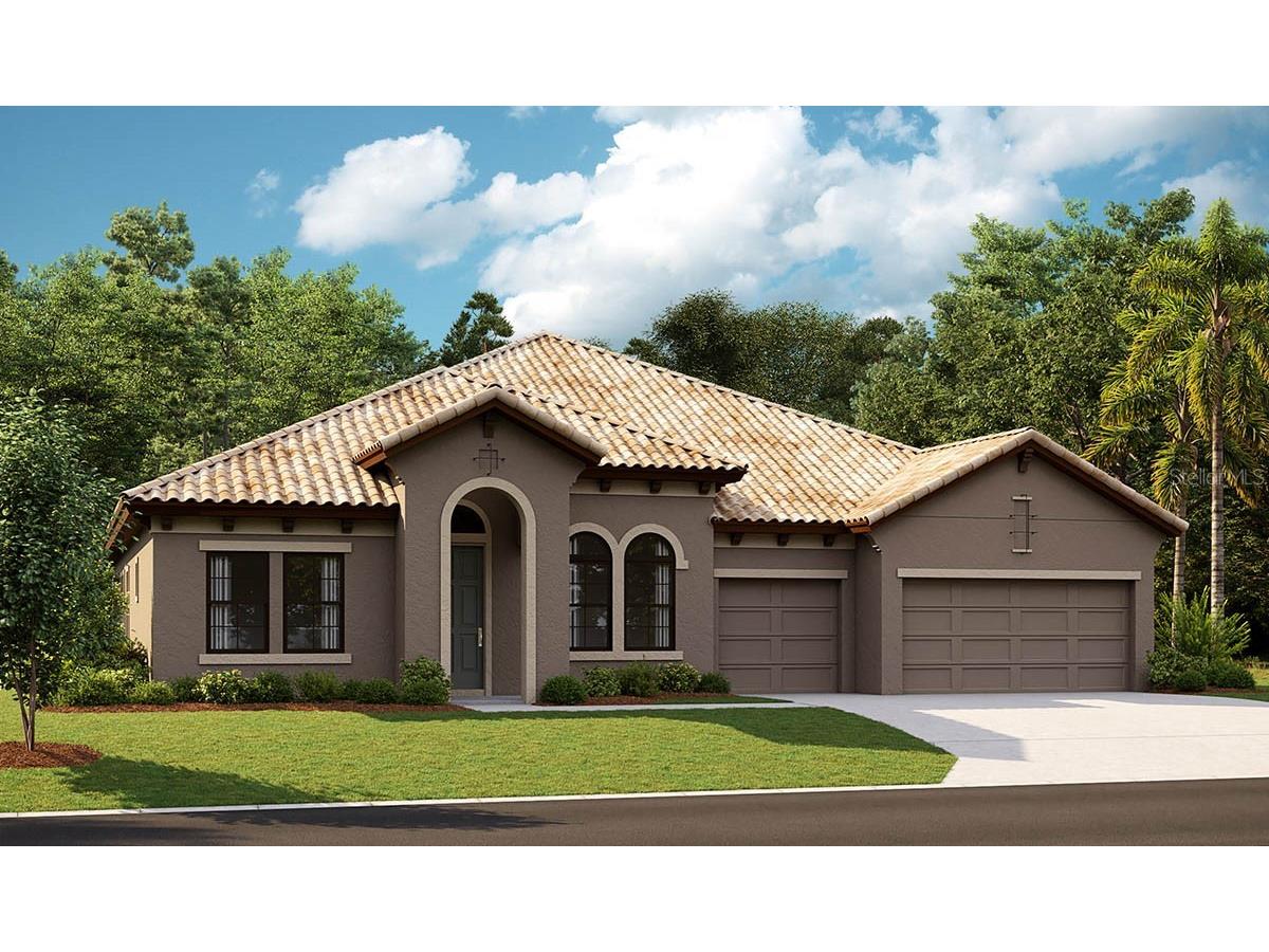 174 Mossy River Court Brandon FL 33511 T3413258 image1