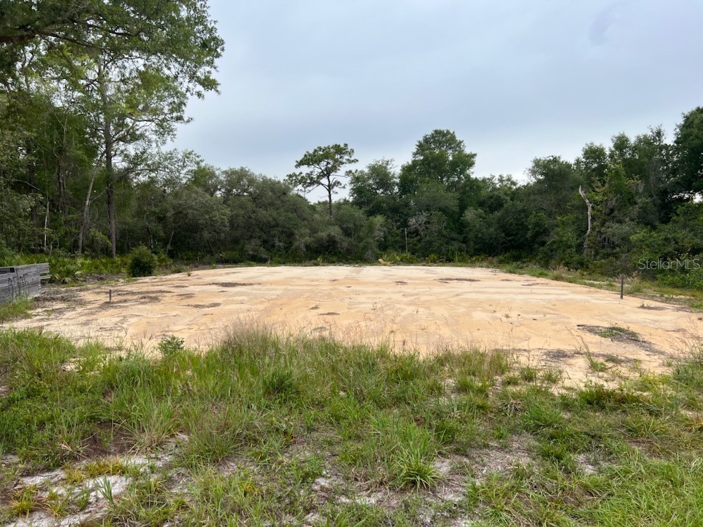 174 SE Fisher Way Loop Ocklawaha FL 32179 OM659761 image1