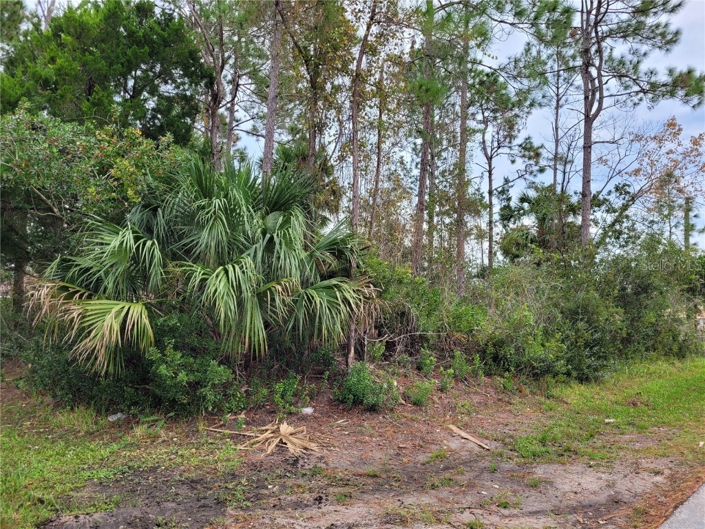 174 Underwood Trail Palm Coast FL 32164 FC287300 image1
