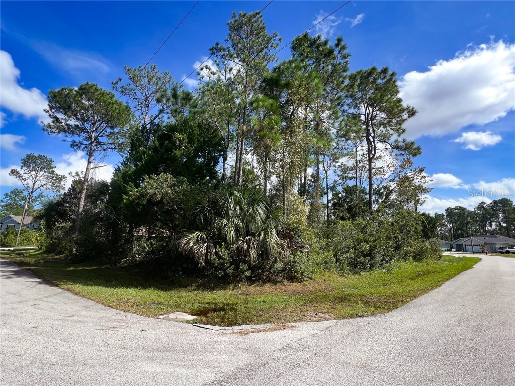 174 Underwood Trail Palm Coast FL 32164 FC295412 image1